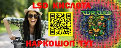 крисы Баксан