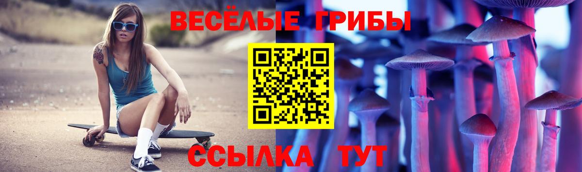 Галлюциногенные грибы мухоморы Белгород